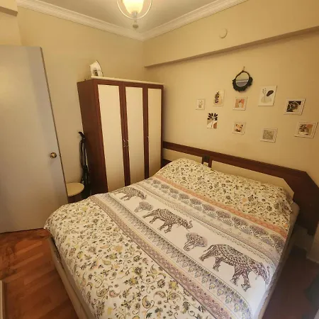 Mavi Yesil Tatil Evleri 公寓